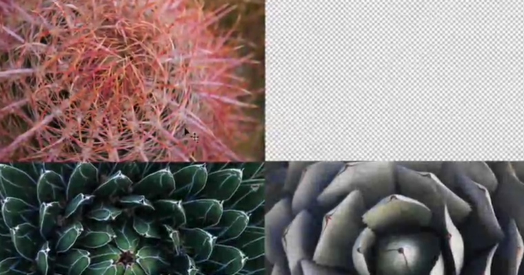 Photoshop 2020 Essential Training, The Basics