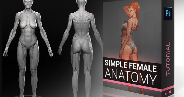 Simple Female Figure Tutorial by Marc Brunet