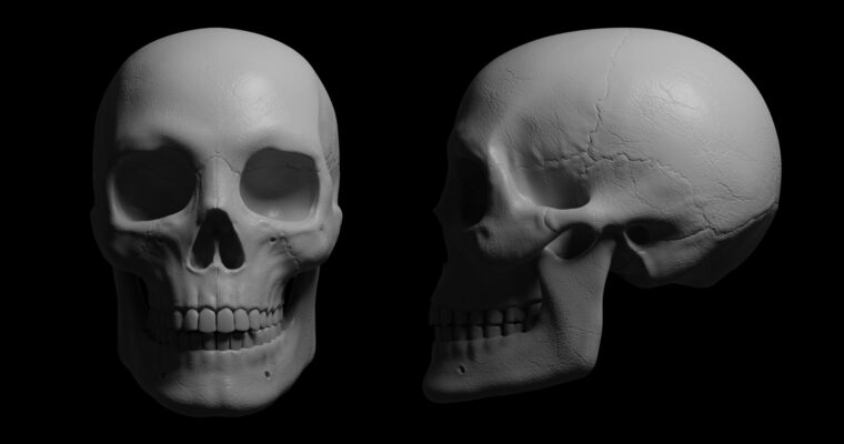 Digital sculpting for beginners
