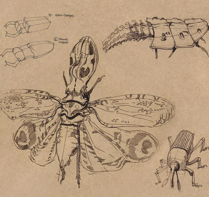 Foundation Patreon - Dynamic Sketching - Insects