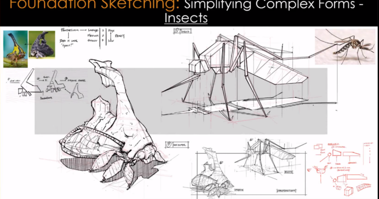 Foundation Patreon – Simplifying Complex Forms – Insects with Charles Lin