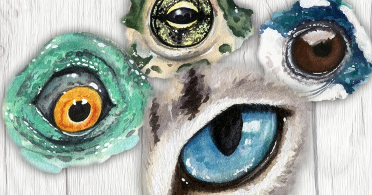 How to draw and paint Animal Eyes by Denise Soden