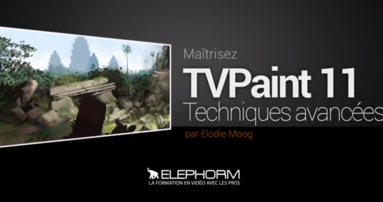 Elephorm MAÎTRISEZ TVPaint techniques avancées