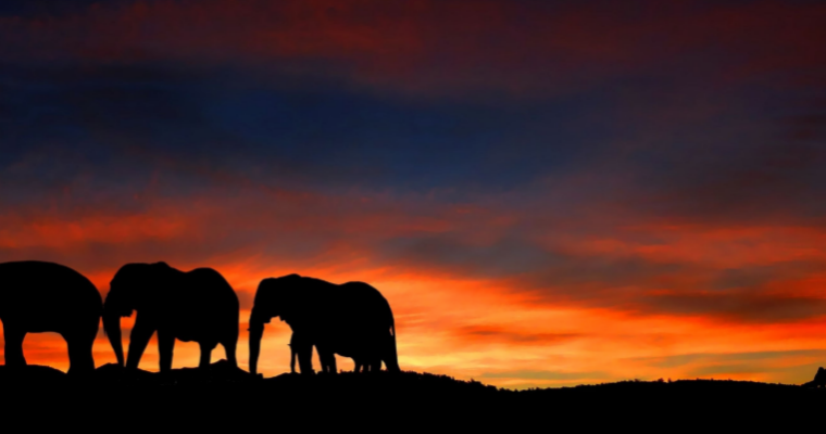 Travel Videography – Start Making Amazing Videos