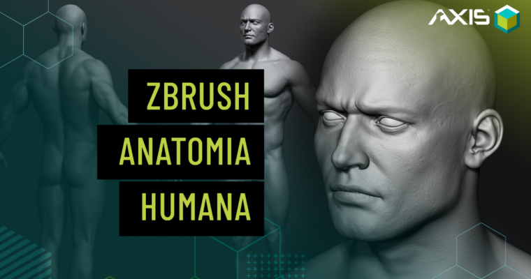 Anatomia humana no Zbrush (PT-BR) Anatomia humana no Zbrush (PT-BR)