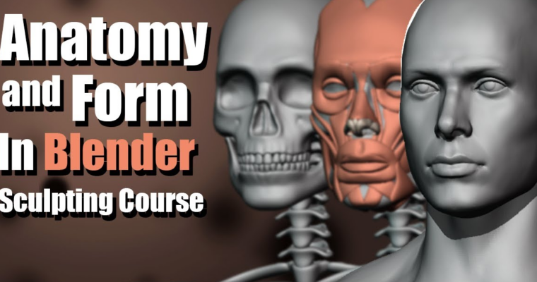 Anatomy and Form in Blender – Sculpting Course by YanSculpts