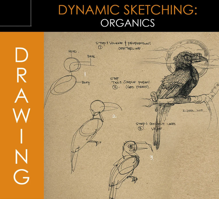 Foundation Patreon Dynamic Sketching