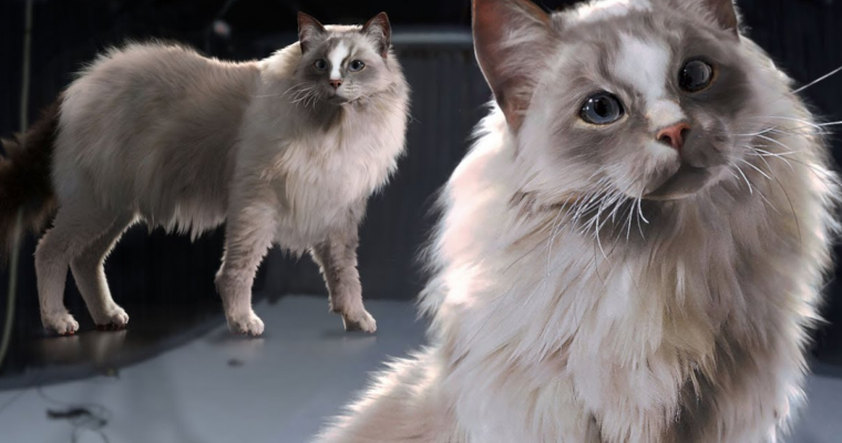 Creating Creature Hair & Fur Grooms in Houdini with Kristin Farrensteiner