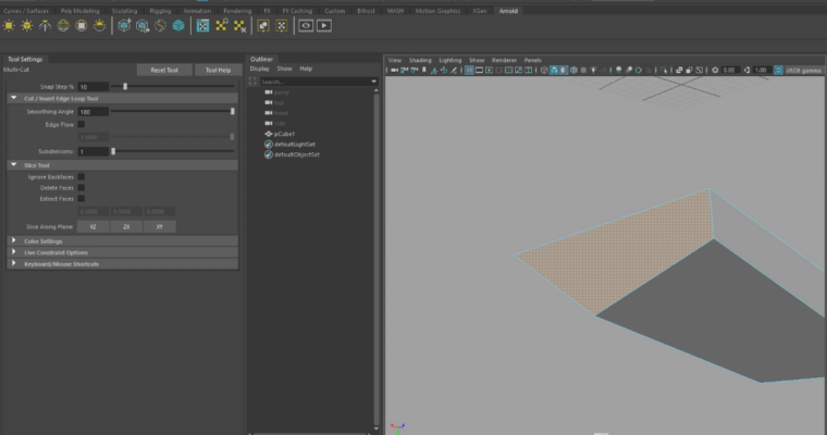 Maya Winter 2019 (Russian)
