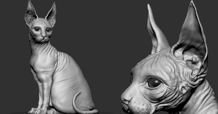 Sphinx cat sculpt Tutorial by Pierre Benjamin