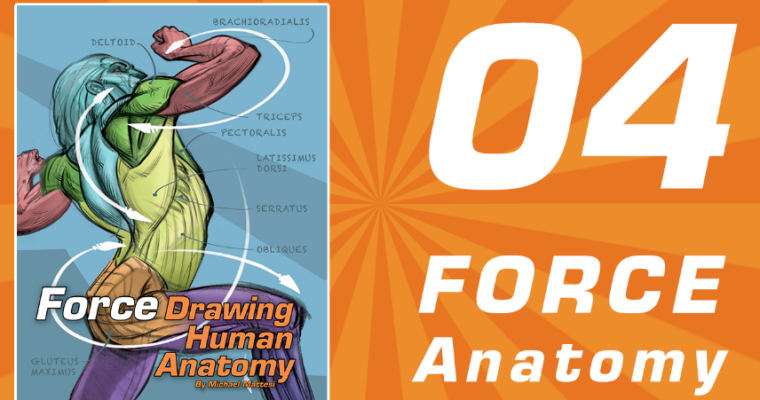 FORCE Anatomy – Course 04