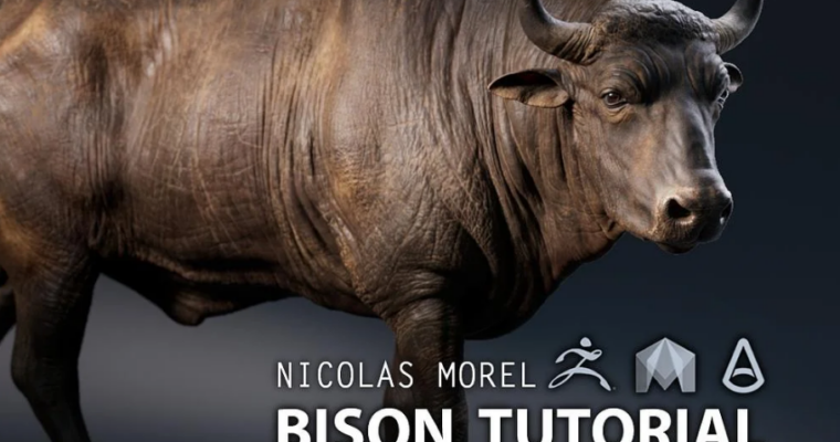 Bison Modeling Tutorial by Nicolas Morel Bison Modeling Tutorial by Nicolas Morel