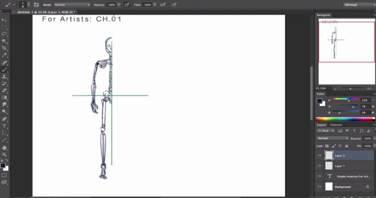 Simplified Anatomy For Artists