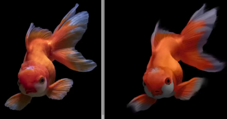 Color Rendering Techniques