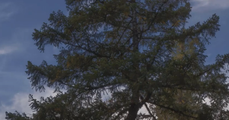 Complete Guide to Smart Objects Techniques by Sean Bagshaw