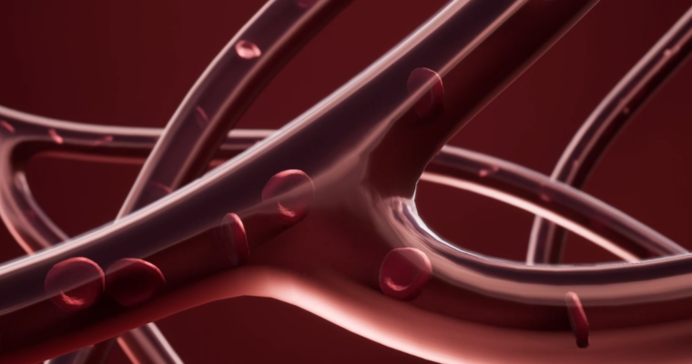 Blood cells simulation with Real-Time rending by Artist Universe