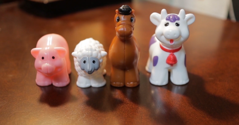 Intro To Basic Video Creation