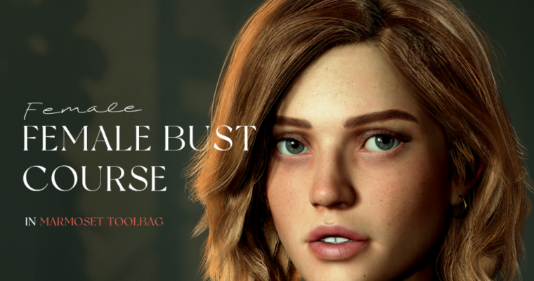 Female Bust Course in Marmoset Toolbag