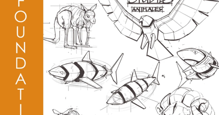 Foundation Patreon – The Art of Studying – Animals with Charles Lin