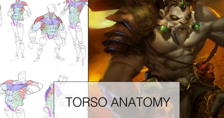 Torso Anatomy Lesson + Painting! By Ahmed Aldoori