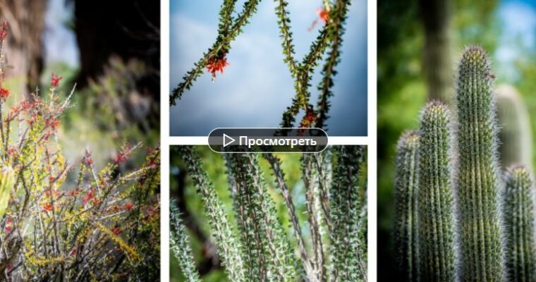 Batch Processing Photos to Save Time