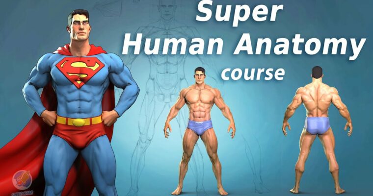 Super Human Anatomy course by Nikolay Naydenov (720p Update)