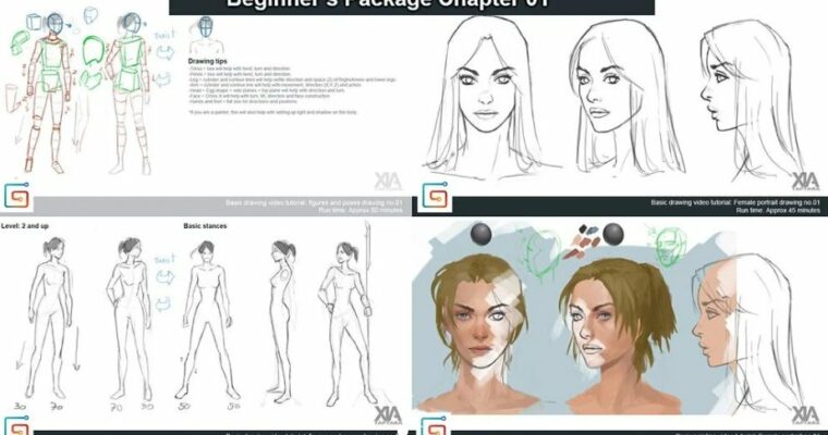 Beginner’s package Chapter 1 By Xia Taptara