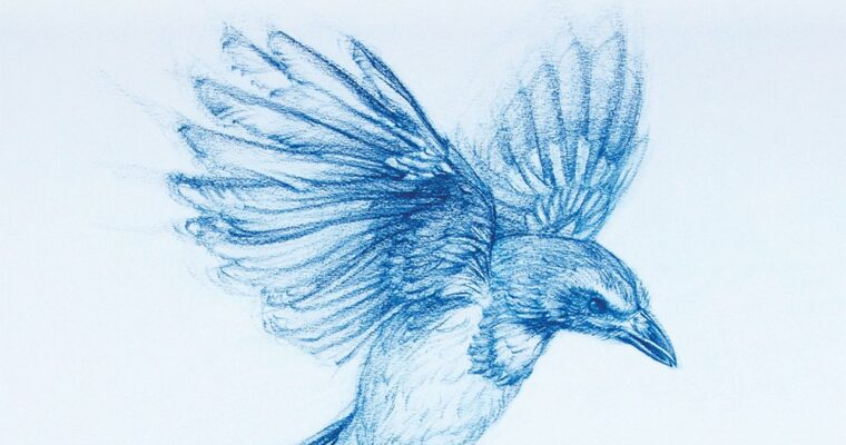 Brent Eviston – Art and science of drawing