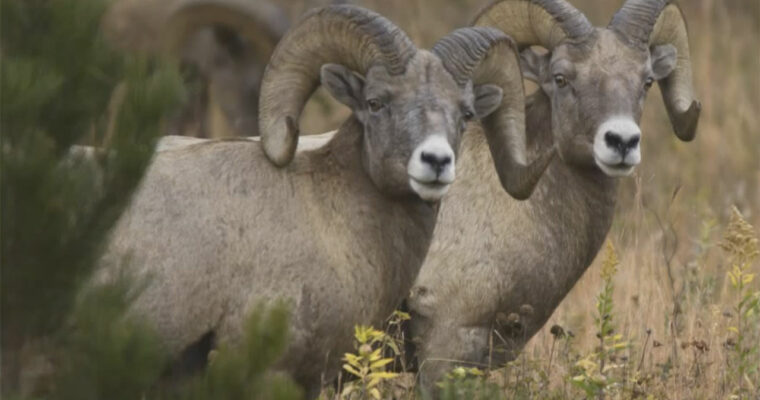 Picture Postcard Workflow, Part 2 – Dan Margulis