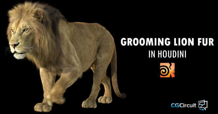 Grooming Lion Fur in Houdini by Sara Hansen