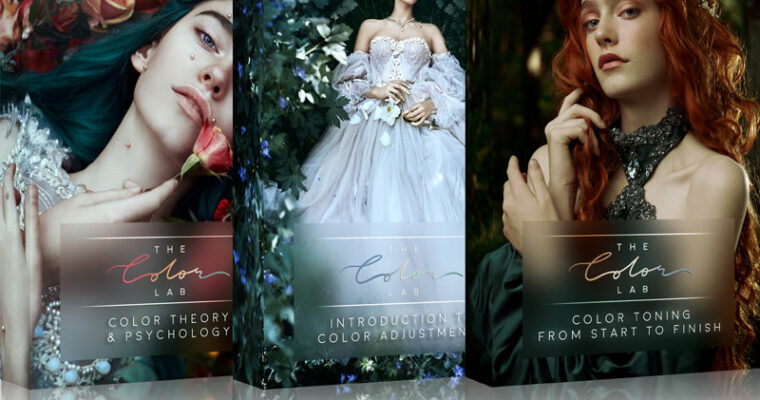 The Color Course by Bella Kotak