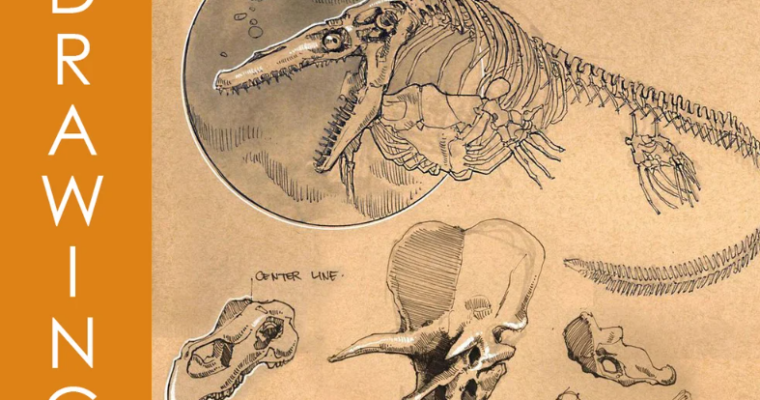 Foundation Patreon – Dynamic Sketching – Prehistoric Bones Foundation Patreon – Dynamic Sketching – Prehistoric Bones