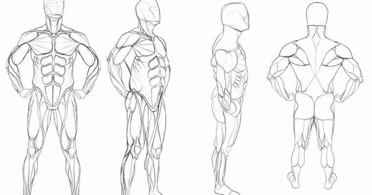 TB Choi – Fundamentals Class (Korean, Eng)