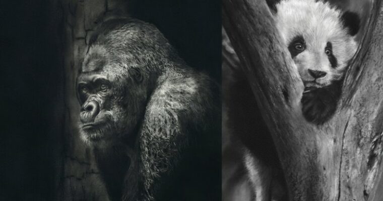 Artistic Charcoal Portraiture – Creating Atmosphere