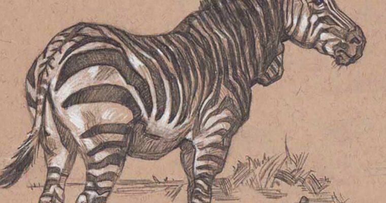 Tom Babbey – Sketchbooking (2022 streaming)