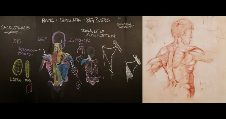 Anatomy for Artists by Rey Bustos (Vol 1-3)