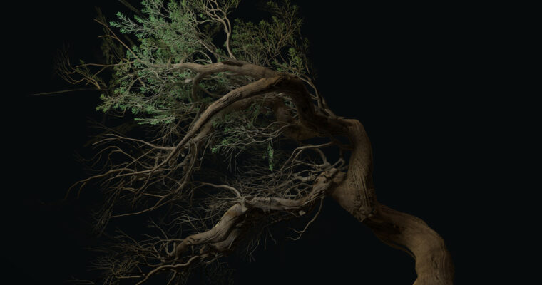 Foliage Tree Creation in Maya and Zbrush Tutorial and Assets