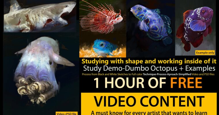 How to Study with Shape-FREE Tips Series- by Hue Teo