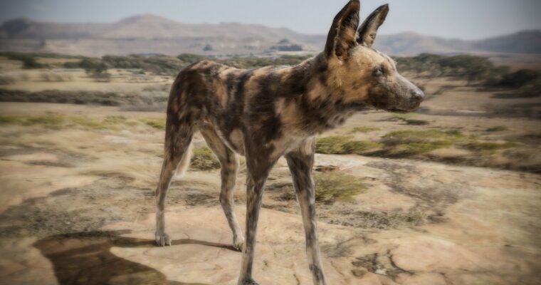 Realistic Animal Creation in Blender