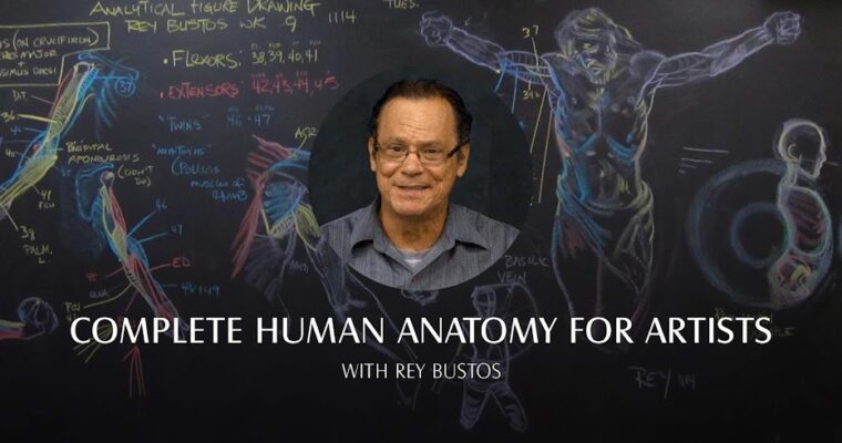 Complete Human Anatomy for Artists (Live Class – April 2022) with Rey Bustos