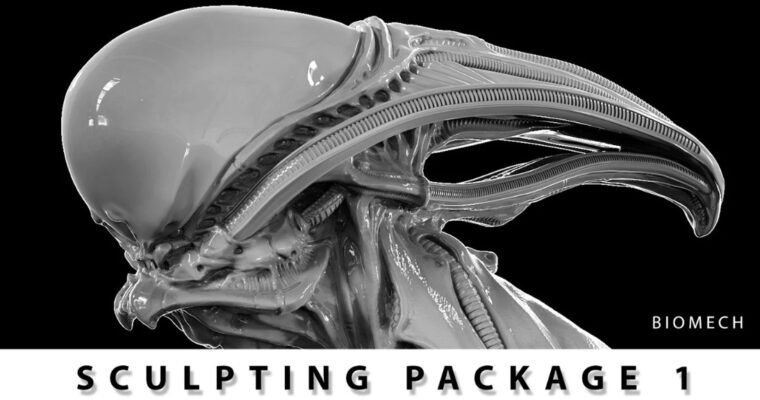 Sculpting Package 1 by Dominic Qwek