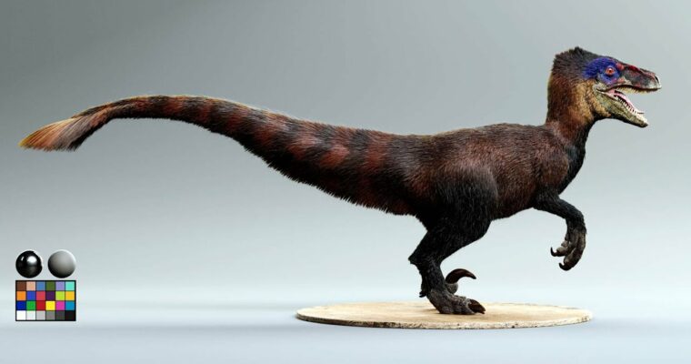 Creating Creature Fur Using Xgen & Arnold