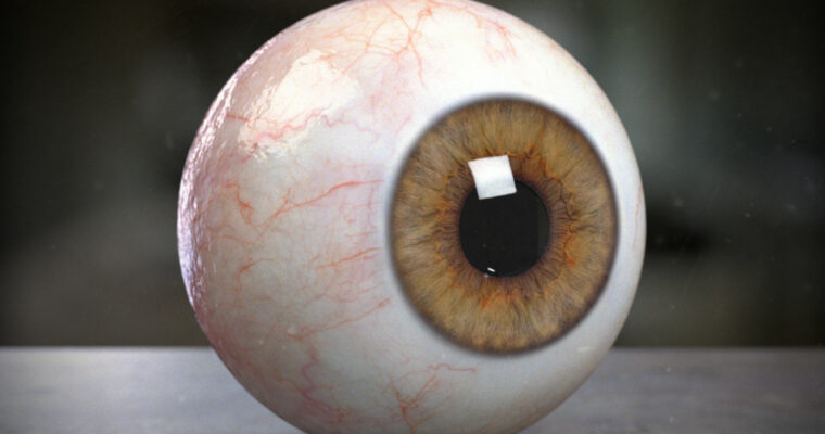Creating a Realistic Human Eye in CG by Tom Newbury Creating a Realistic Human Eye in CG by Tom Newbury