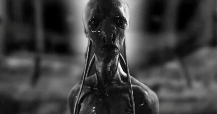 Motion Control and Flashlights By Grzegorz Jonkajtys