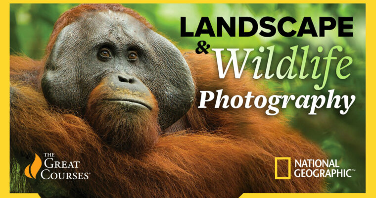 National Geographic Guide to Landscape & Wildlife Photography