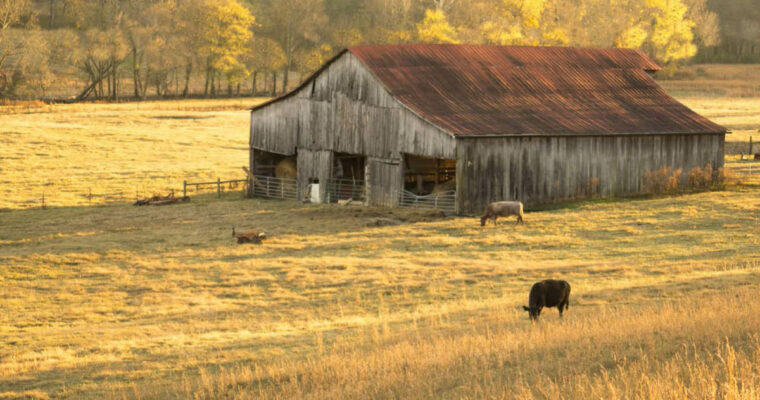 Panoramas & Multiple Exposures