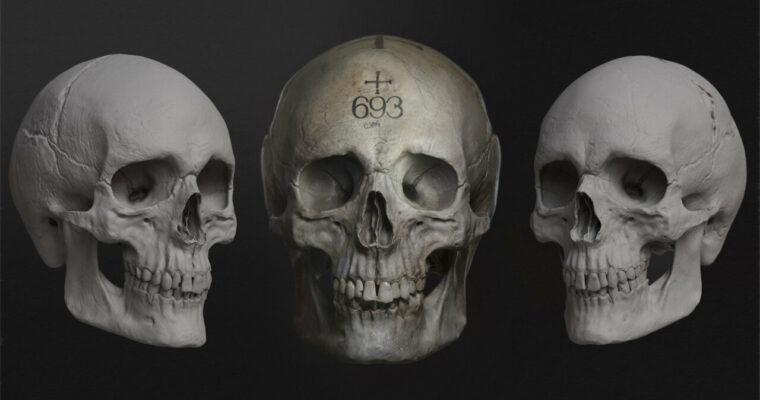 Sculpting the Human Skull