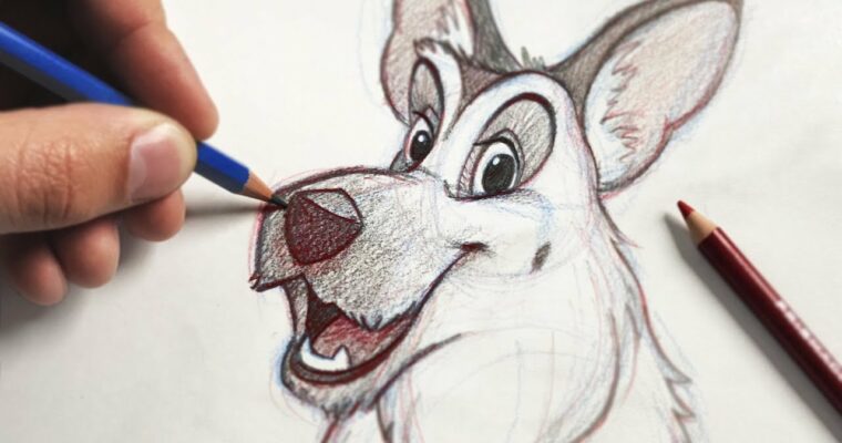 The Ultimate Animal Drawing Course beginner to advanced