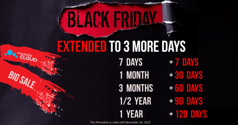 Black Friday Sales (Extended)