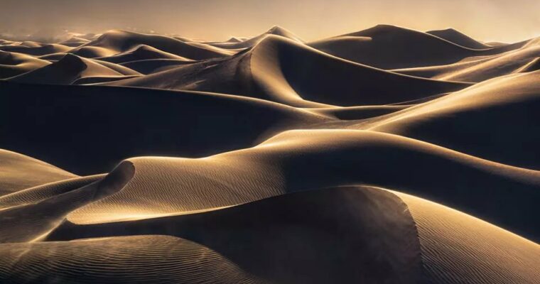 Ballad of Gales – Photoshop by Alex Noriega